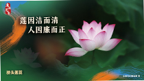 蓮因潔而清人因廉而正