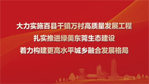 大力實(shí)施百縣千鎮(zhèn)萬(wàn)村高質(zhì)量發(fā)展工程扎實(shí)推進(jìn)綠美東莞生態(tài)建設(shè)著力構(gòu)建更高水平城鄉(xiāng)融合發(fā)展格局